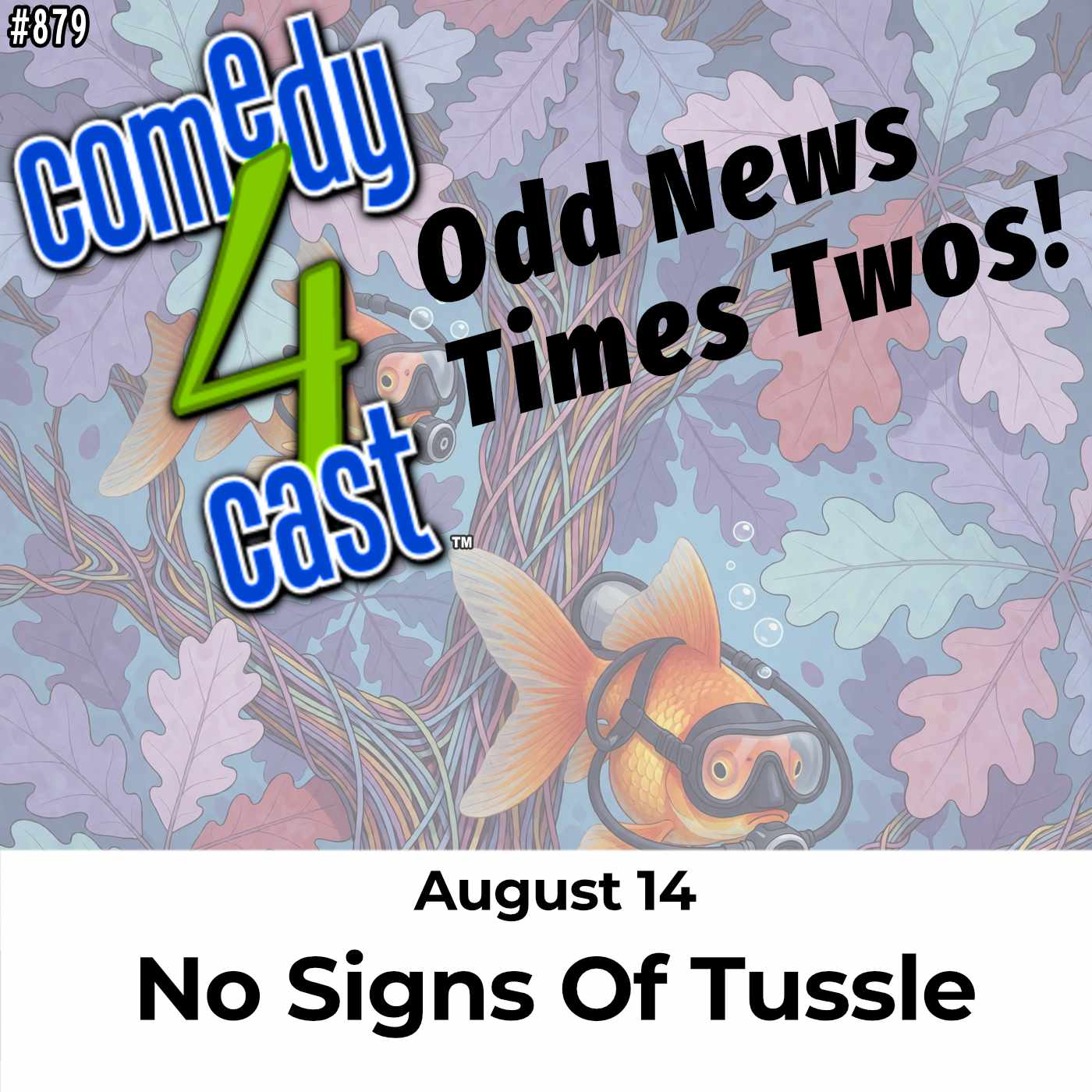 No Signs Of Tussle